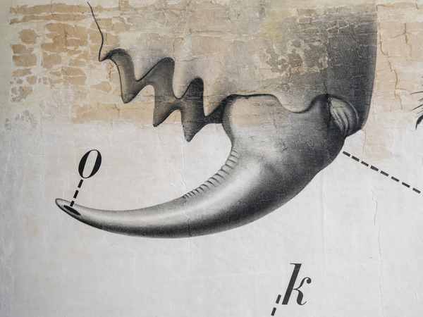 _DSF5589